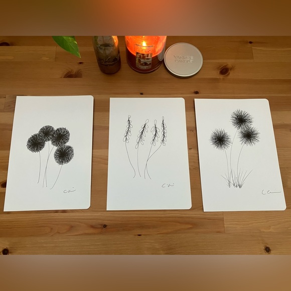 New Original Signed Artwork Ink on Paper Set of 3 Botanical Drawings - Picture 7 of 7